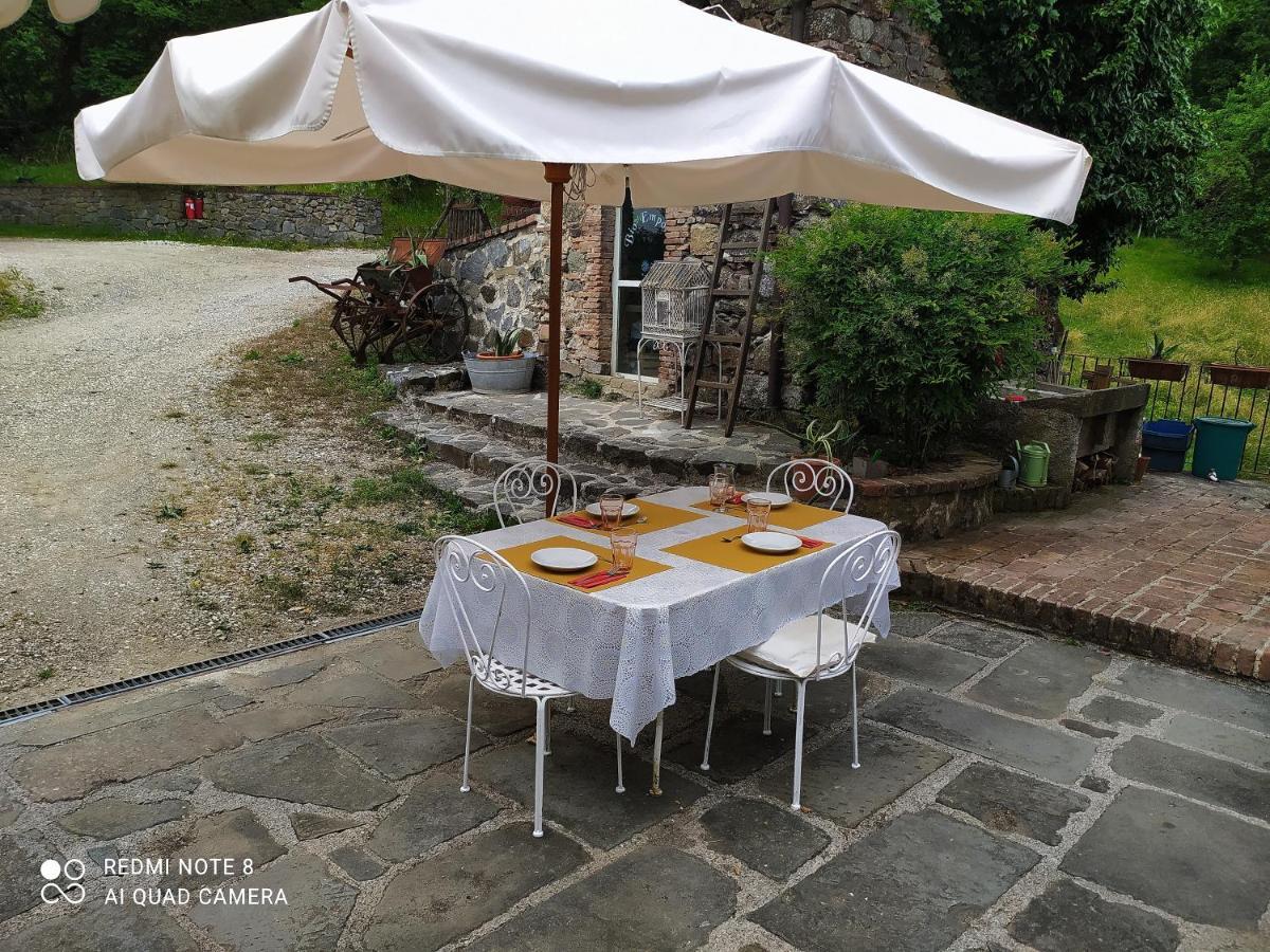 Agriturismo Paneolio Villa Collemandina Exterior foto